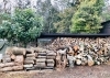 来年用の薪を今年から準備します。「【薪ストーブで節電】フリーコンセプションオーナー山林整備のボランティアに参加」