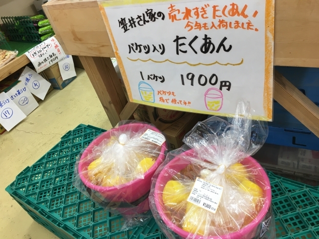 「【川島店】バケツで漬けた「たくあん」が人気です！！」