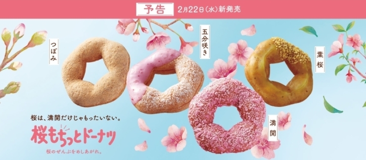 「2月22日（水）新発売！！桜もちっとドーナツ」