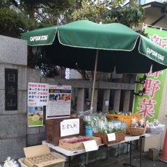 本日、千葉県産野菜を販売しております。日蓮宗妙栄院祈祷寺
