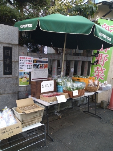 「本日、千葉県産野菜を販売しております。日蓮宗妙栄院祈祷寺」