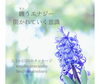 photo noriko sejiri「＊ 2/19-2/25 守護天使のメッセージ」