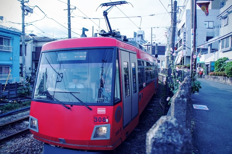 かなり迫ってきているように見えますが、実際はほどよく離れています。