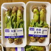 「岩手県産「たらボー」の入荷が始まりましたよー！」