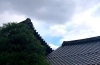 ハートの雲、見つけました⭐️「よく見てみること⭐️」