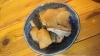 「＊突撃わが家の晩ごはん＊　＠ぶり大根」