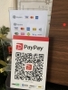 お支払いも便利に☺️「PayPay LINE Pay使えるようになりました！」