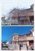 枝垂れ桜の剪定(正面側)「猪名川町で枝垂れ桜の剪定をしました！」