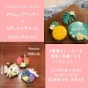 【Information】コラボレッスンのご案内