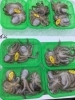 「魚魚市場鮮魚コーナーおすすめは「イイダコ」「カレイ」です♪」