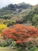 「【～令和8年1月31日】石鎚の自然を守ろう『いしづち山麓（36）周遊ラリー』が開催中！」