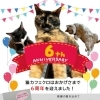 ６周年アニバーサリー