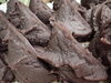 「和菓子の命　餡　」