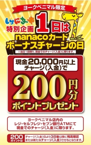 毎月恒例《いち・に・さんの市》開催中です✨ | ヨークベニマル長井小 ...