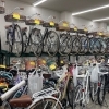 春は新しい自転車でスタート！