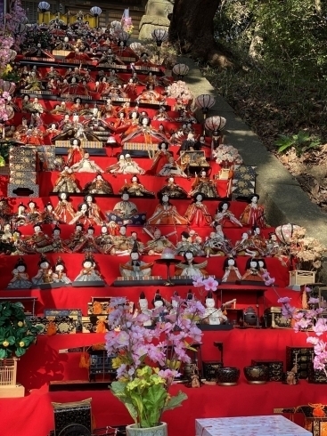 写真は一昨年「栗木神社のひな飾り【磯子区・イベント】」