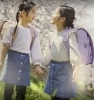 「2024年度版カタログが出来上がりました！！　」