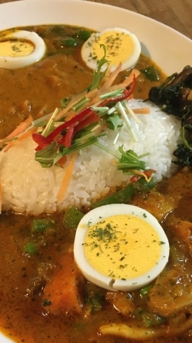 ダブルでスープカレー楽しめます。「ダブルスープカレー」