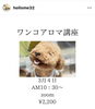 ワンコだって癒されたい「ワンコアロマ講座」