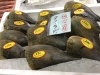 「魚魚市場鮮魚コーナーおすすめは「佐々産タイラギ・サヨリ」です♪」