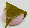 桜餅、こし餡がおいしいてすよ「今日はひな祭りてす」