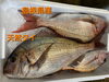 「ひな祭りの金曜日❗お刺身&お惣菜❗」