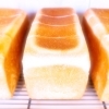 本日の食パン