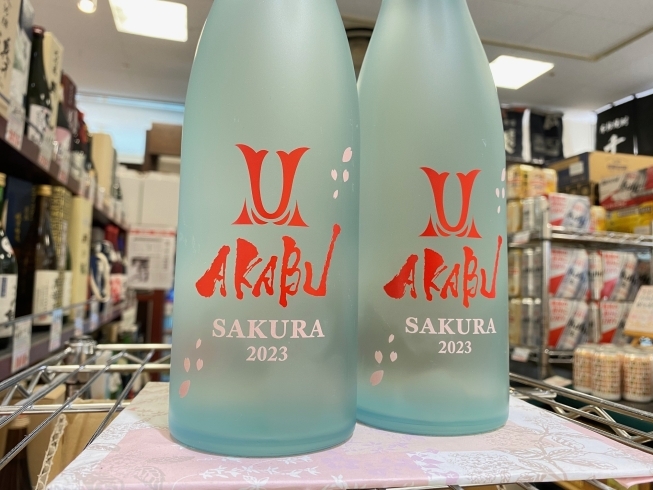 桜舞う春のAKABU♪「AKABU-SAKURA-2023♪」