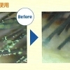 花粉症の目のかゆみ。まつ毛についた花粉が原因かも？