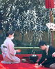 ２月26日文京区湯島天神梅まつり野点茶席を担当！「【初心者】【体験】【裏千家教室】いよいよこの春から「茶道のお稽古」をはじめませんか！？【茶道】【伝統文化】【マナー】」