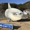 紀伊長島に来ました。ウ〜ッ「シンポジウム in 紀伊長島」