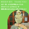 よくあるご質問（FAQ） 詳細 | BSRweb | 株式会社プロトリオス