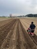 1柵、50メートルあります！「☆カラフル野菜の小山農園、恒例春の大イベント☆」