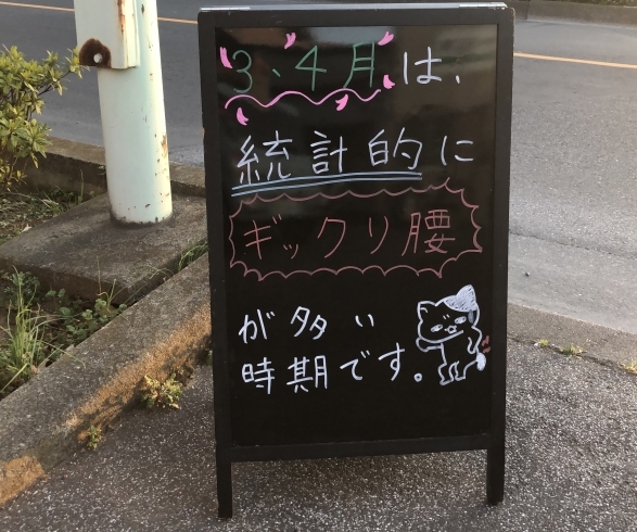 3・4月はギックリ腰注意報です「3月はギックリ腰が多い時期なんです！！」