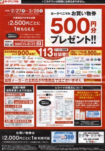 「500円分お買い物券プレゼントキャンペーンやっています♪」