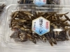 大人気!!印旛沼産ざっご佃煮「じわじわと人気が出てきました！！」