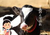 牛さん「今話題の牛乳がピンチ！？」