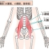 腸腰筋(ちょうようきん)【本物のストレッチ】1人じゃできない