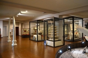 1階の展示室です。<br>こちらは大きな鶴や姫路城の象牙作品が展示されています。