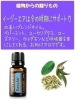 イージーエア 15ml ¥4500「アロマのある暮らし【メディカルアロマ　シロダーラ　肩こり、腰痛、膝痛、環境浄化】」