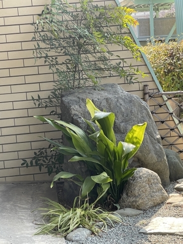 「庭の模様がえ。横浜の庭屋さん庭和。」