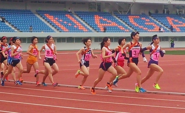 「新加入選手のお知らせ（女子サテライト:育成待遇）」