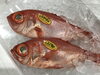 「魚魚市場鮮魚コーナーおすすめは「キンメダイ・地タコ」です♪」