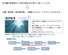 「海洋散骨のご依頼ありがとうございます。(北九州市八幡西区若葉にある少人数対応安心低価格の直葬.家族葬専門葬儀社です。小倉行く会館がございます)」