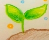 「ただ、〇〇を楽しむ⭐️」