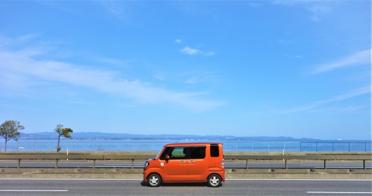 花粉症から身を守ってくれるMy car♡「お出かけ本番の季節！【京都市南区・板金・塗装・自動車】」