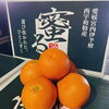 「愛媛県産　「蜜る　いよかん」」