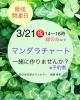 3月21日は宇宙元旦ともいわれるそうです「最強開運日にマンダラチャート作りでワクワク❣️」