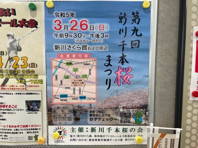 「◆お花見和船運航◆3月26日(日)第9回新川千本桜まつり！」