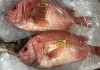 「魚魚市場鮮魚コーナーおすすめは「エビスダイ」です♪」